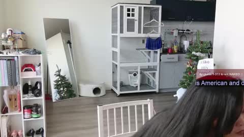 Snapshot of ms_mochii chatting on November 1, 2025, 6:21 pm R o r i SnapChat heyroriv2 wednesday - sunday Noon oclock mountain - 5pm mountain online show from November 1, 2025, 6:21 pm