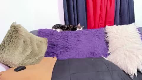 Snapshot of msjustine4u chatting on October 31, 2025, 1:17 am Miss Justine online show from October 31, 2025, 1:17 am