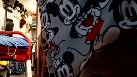 muddflapz online show from October 6, 2025, 10:56 am