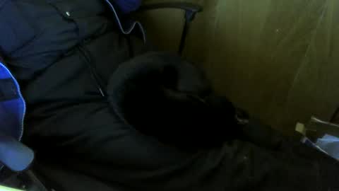 Snapshot of muller520 chatting on October 29, 2025, 1:57 pm muller520 online show from October 29, 2025, 1:57 pm