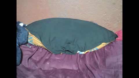 myaldiah online show from February 17, 2025, 4:04 pm