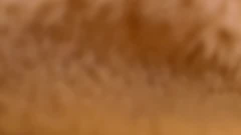 Mya-be Yours P online show from February 12, 2025, 9:33 pm