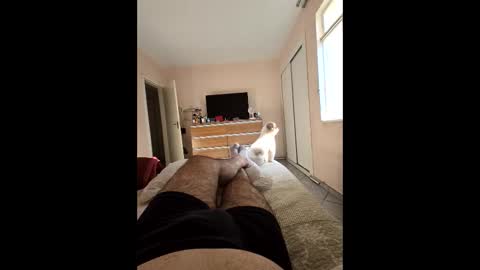 Snapshot of mysterbearmg chatting on September 27, 2025, 6:46 pm mysterbearmg online show from September 27, 2025, 6:46 pm