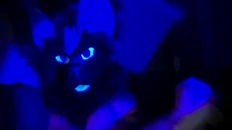 Snapshot of n33ds2br33d chatting on October 19, 2025, 3:07 am n33ds2br33d online show from October 19, 2025, 3:07 am