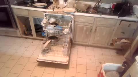 nakednate1780 online show from December 3, 2024, 12:46 am