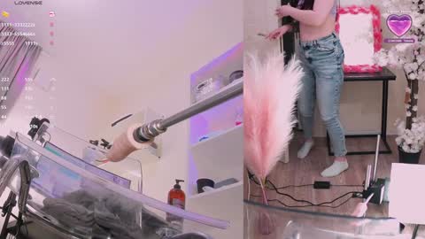 INSTAGRAM     bekkercat  online show from February 7, 2025, 2:04 pm