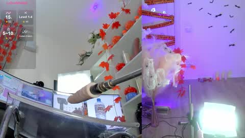 INSTAGRAM     bekkercat  online show from November 2, 2025, 11:12 am