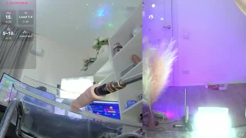 INSTAGRAM     bekkercat  online show from November 17, 2025, 11:38 am