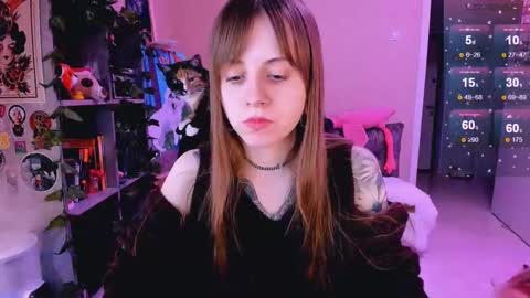 Monday-Friday 12-4 AM and 6-9 AM New York time online show from February 24, 2025, 11:52 pm