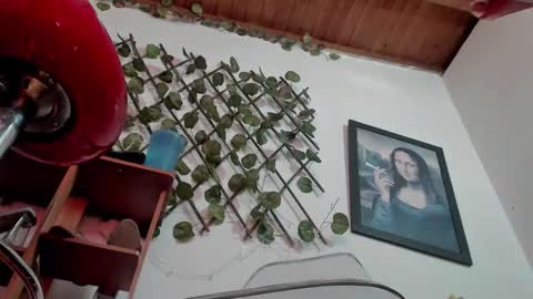 Nasha online show from October 26, 2025, 5:30 pm