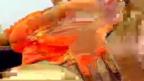 Snapshot of natasha_klaus1 chatting on October 23, 2025, 2:44 am natasha_klaus1 online show from October 23, 2025, 2:44 am
