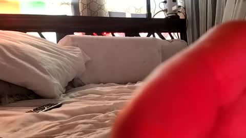 Snapshot of nativeboi22 chatting on February 3, 2025, 5:03 pm Haven online show from February 3, 2025, 5:03 pm