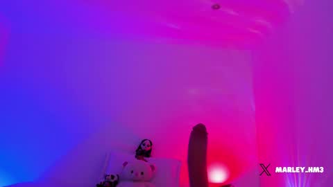 Snapshot of nelav0 chatting on December 14, 2025, 10:25 pm xd online show from December 14, 2025, 10:25 pm