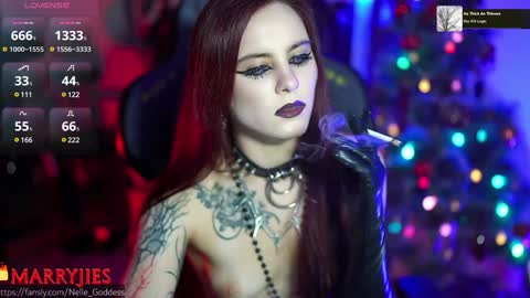 Snapshot of nelle_ chatting on January 1, 2025, 12:44 pm    online show from January 1, 2025, 12:44 pm