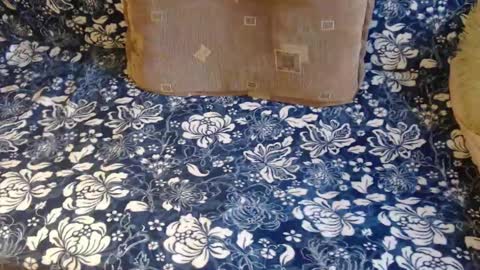 Snapshot of new_milf chatting on February 1, 2025, 12:47 pm Lilly online show from February 1, 2025, 12:47 pm