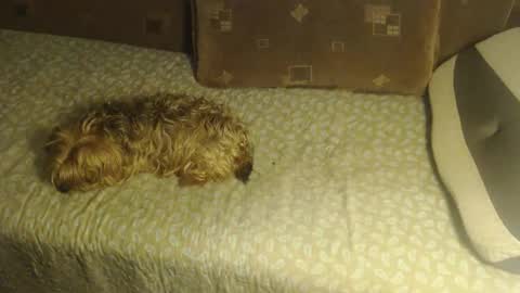 Snapshot of new_milf chatting on October 22, 2025, 2:45 am Lilly online show from October 22, 2025, 2:45 am