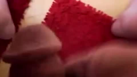 Snapshot of newbookwriter chatting on December 2, 2024, 6:09 am BookWriter online show from December 2, 2024, 6:09 am