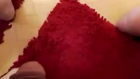 Snapshot of newbookwriter chatting on December 7, 2024, 8:33 am BookWriter online show from December 7, 2024, 8:33 am