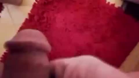 Snapshot of newbookwriter chatting on December 12, 2024, 7:30 am BookWriter online show from December 12, 2024, 7:30 am