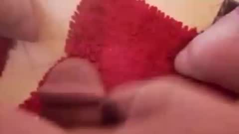 Snapshot of newbookwriter chatting on December 20, 2024, 8:17 am BookWriter online show from December 20, 2024, 8:17 am