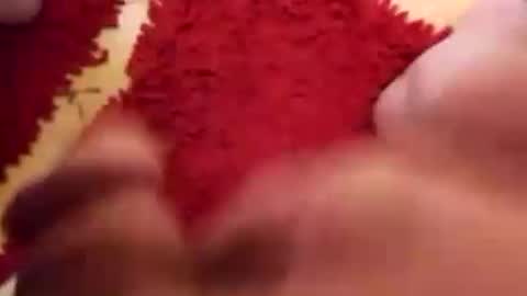 Snapshot of newbookwriter chatting on December 31, 2024, 5:55 am BookWriter online show from December 31, 2024, 5:55 am