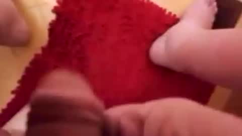 Snapshot of newbookwriter chatting on January 22, 2025, 6:52 am BookWriter online show from January 22, 2025, 6:52 am