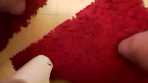 Snapshot of newbookwriter chatting on January 26, 2025, 6:28 am BookWriter online show from January 26, 2025, 6:28 am