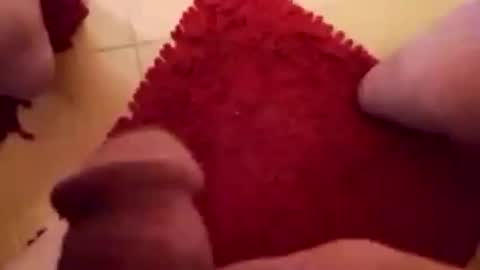 Snapshot of newbookwriter chatting on February 1, 2025, 7:15 am BookWriter online show from February 1, 2025, 7:15 am