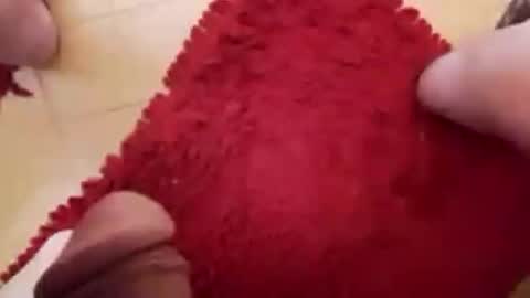 Snapshot of newbookwriter chatting on February 23, 2025, 6:49 am BookWriter online show from February 23, 2025, 6:49 am