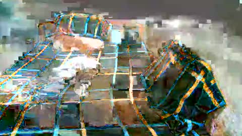 Snapshot of newest_star69 chatting on January 7, 2025, 11:16 am Lucy Pearl online show from January 7, 2025, 11:16 am