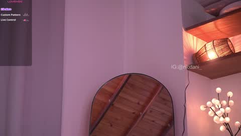 Snapshot of nicdani_1 chatting on January 11, 2025, 9:25 pm Dani 3 online show from January 11, 2025, 9:25 pm