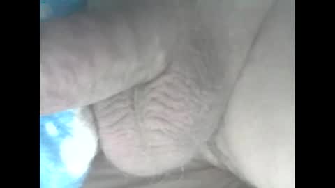 Snapshot of nickthefiddler chatting on September 10, 2025, 9:26 pm TheCock online show from September 10, 2025, 9:26 pm