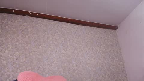 Nicol online show from December 21, 2024, 7:49 pm