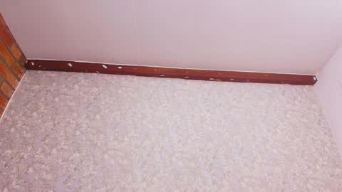 Nicol online show from December 28, 2024, 7:22 pm