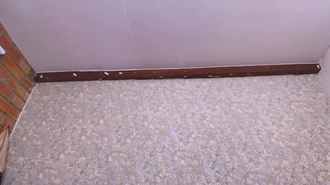 Nicol online show from January 11, 2025, 7:16 pm