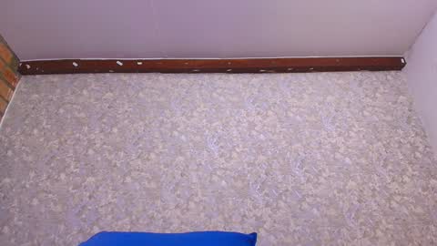 Nicol online show from January 13, 2025, 7:10 pm