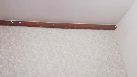 Nicol online show from March 3, 2025, 7:17 pm