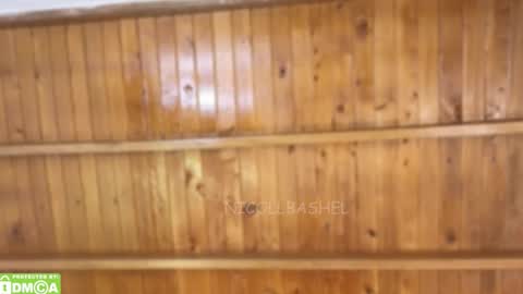 Snapshot of nicollbashel chatting on November 17, 2025, 5:13 am Nicoll Independent model online show from November 17, 2025, 5:13 am