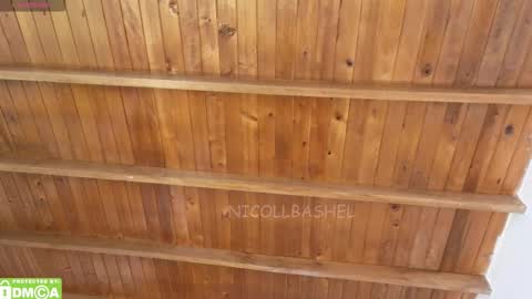 Snapshot of nicollbashel chatting on November 19, 2025, 6:30 pm Nicoll Independent model online show from November 19, 2025, 6:30 pm