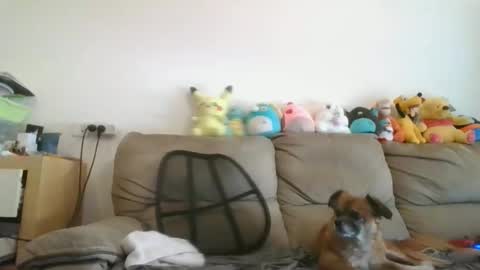 Brian and Logan Brogan online show from November 19, 2025, 7:52 am