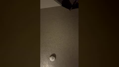 nikkitag93 online show from December 18, 2025, 7:58 am