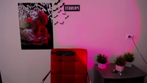 Snapshot of nikonara_ chatting on March 9, 2025, 12:42 pm nikonara_ online show from March 9, 2025, 12:42 pm