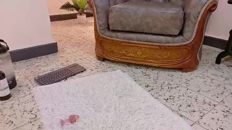 Snapshot of niky_smit chatting on February 16, 2025, 2:43 pm NIKY SMIT online show from February 16, 2025, 2:43 pm