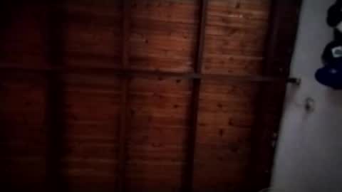 nimapolo online show from November 9, 2025, 10:30 pm