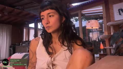 Nina.  online show from November 29, 2025, 10:13 pm