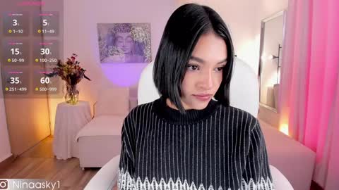 Snapshot of ninaa_sky chatting on January 22, 2025, 1:53 pm    online show from January 22, 2025, 1:53 pm