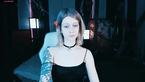 Snapshot of noah_elmer chatting on February 11, 2025, 4:46 pm REAL name LiaDM are always open online show from February 11, 2025, 4:46 pm