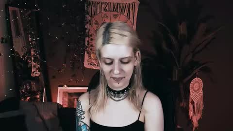 Snapshot of noah_elmer chatting on November 14, 2025, 5:22 pm REAL name LiaDM are always open online show from November 14, 2025, 5:22 pm