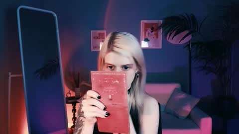 Snapshot of noah_elmer chatting on November 21, 2025, 5:22 pm REAL name LiaDM are always open online show from November 21, 2025, 5:22 pm