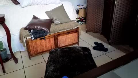 Snapshot of nobudget06 chatting on February 25, 2025, 11:00 pm nobudget06 online show from February 25, 2025, 11:00 pm